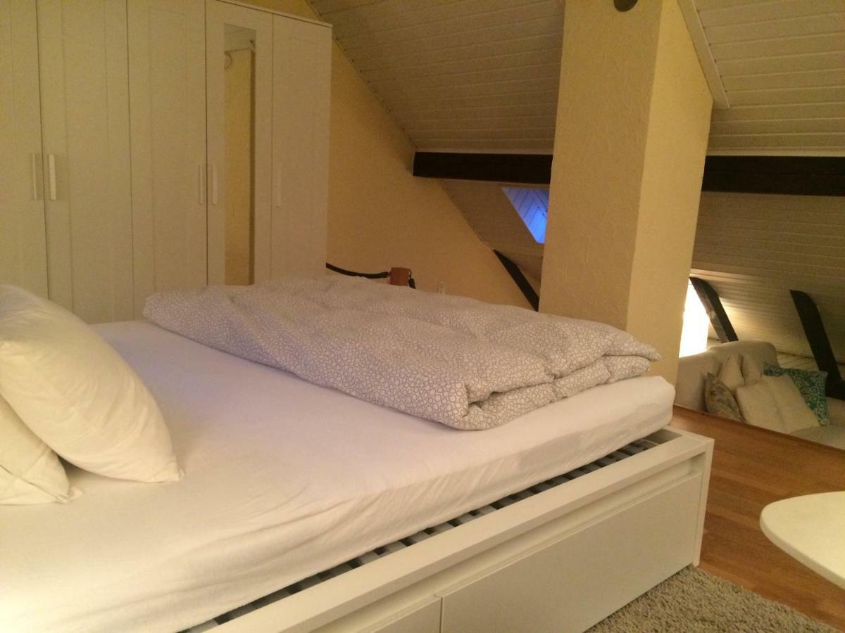 Cozy Attica - With Every Comfort - Berne Lejlighed Liebefeld Eksteriør billede